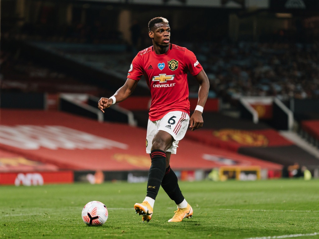 与其合作无 与其合作无